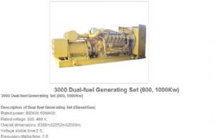 3000 dual-fuel generating sets 800，1000kw